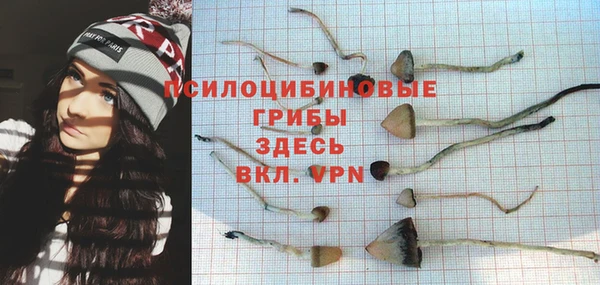 mdpv Бронницы