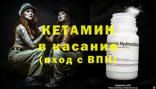 трава Няндома