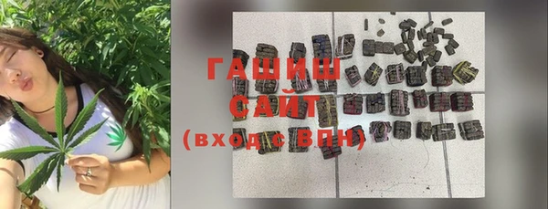 метадон Богданович