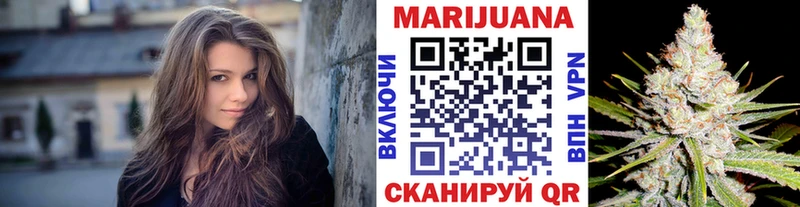 как найти наркотики  Орлов  Канабис сатива 